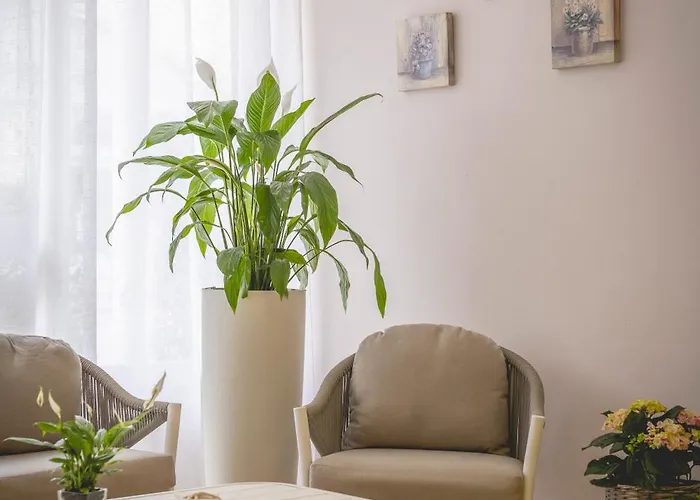 호텔 La Perla 체르비아